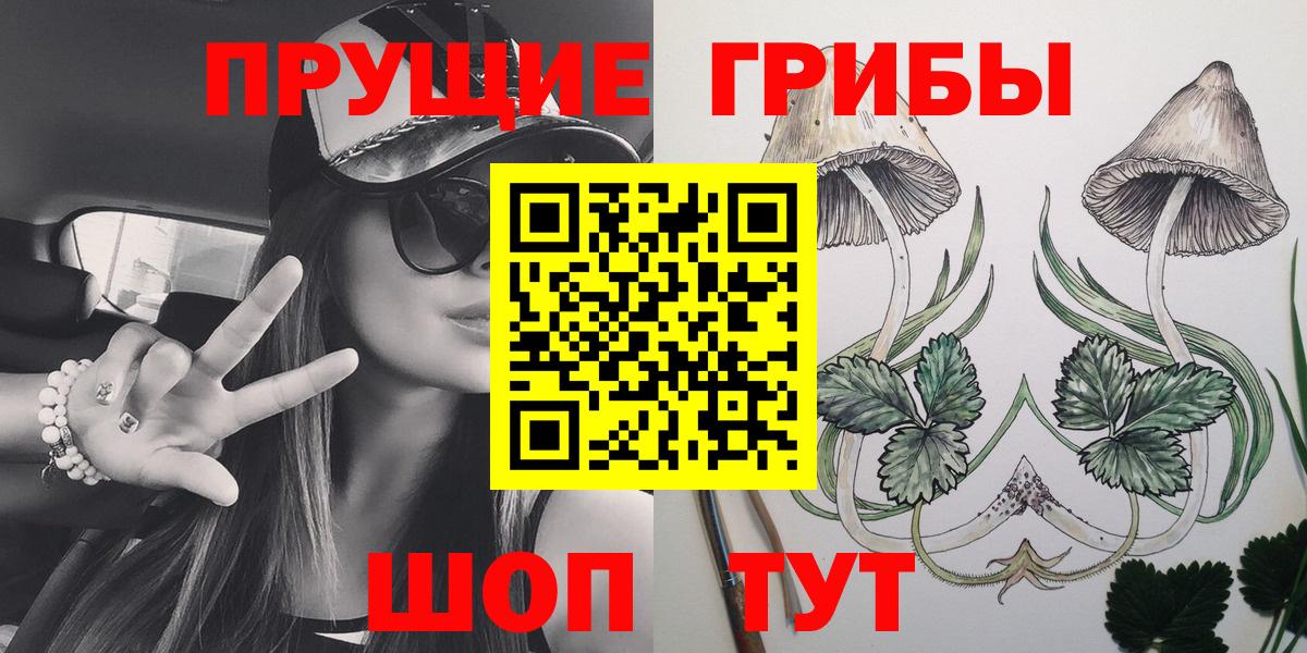 Псилоцибиновые грибы Psilocybe  Псилоцибиновые грибы Psilocybe  Елабуга  Вход с VPN 