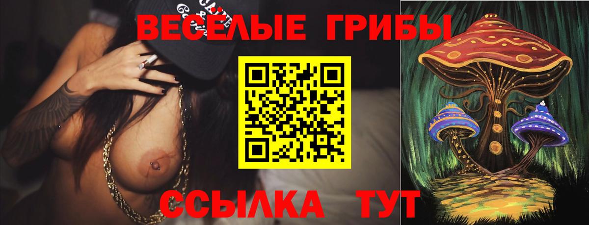 Псилоцибиновые грибы мицелий Елабуга